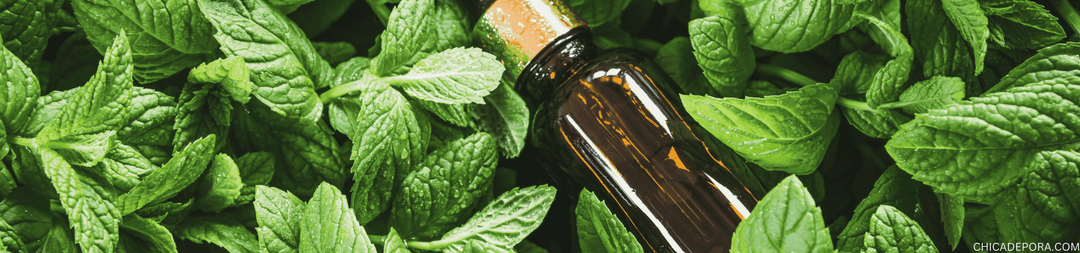 Does Peppermint Oil Repel Mice?